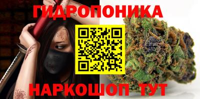 ГАЛЛЮЦИНОГЕННЫЕ ГРИБЫ Беслан