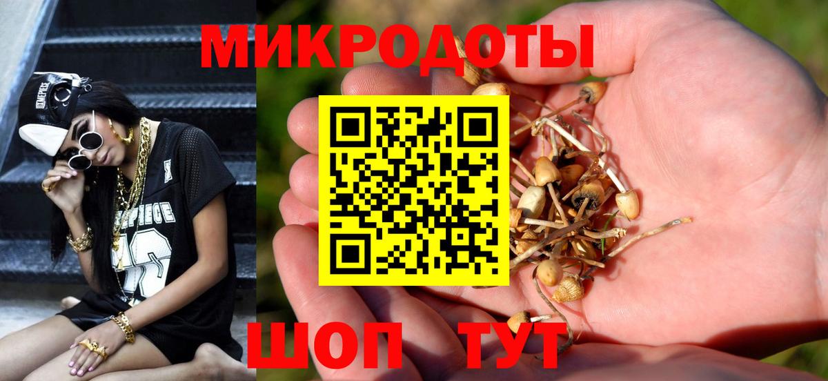 Клин  купить наркотик  Псилоцибиновые грибы мицелий  Вход с VPN  Псилоцибиновые грибы Magic Shrooms 