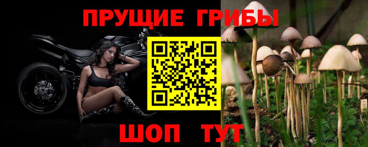 Псилоцибиновые грибы мицелий Клин